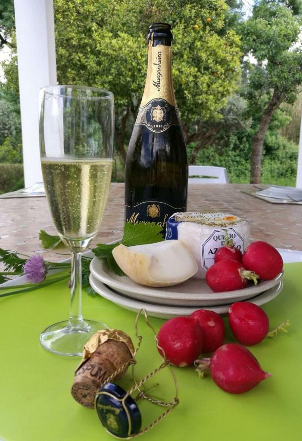 Quinta Villa Arrabida Vila Fresca Buitenkant foto